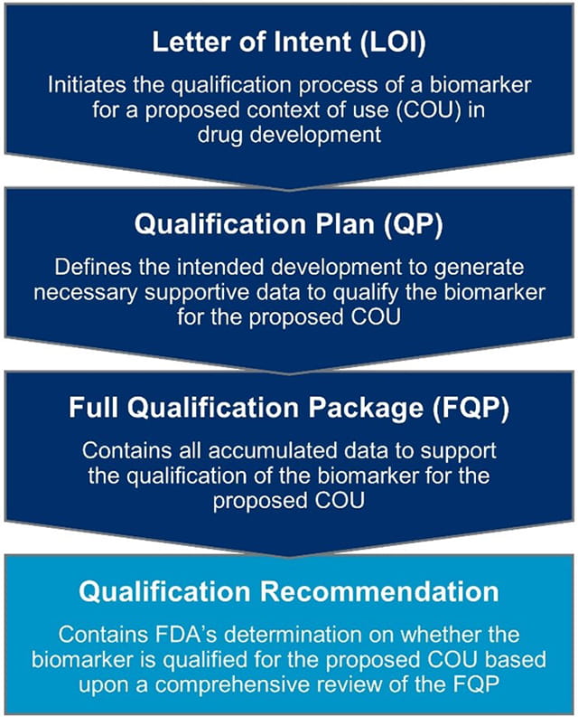 The US FDA’s biomarker qualification process for drug development