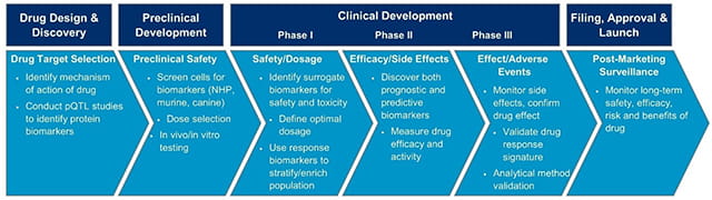 The role of biomarkers throughout the drug development life cycle