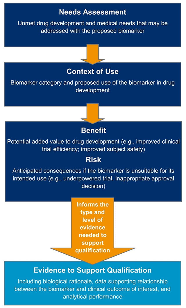 Evidentiary framework for biomarker qualification