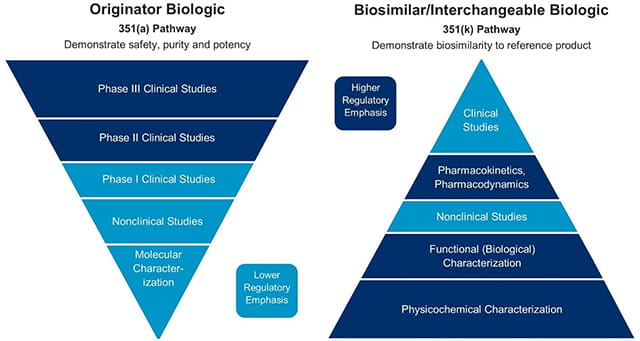 Contrast between the standard 351(a) regulatory pathway for a new biologic product and the 351(k) abbreviated regulatory pathway for biosimilar biologic products