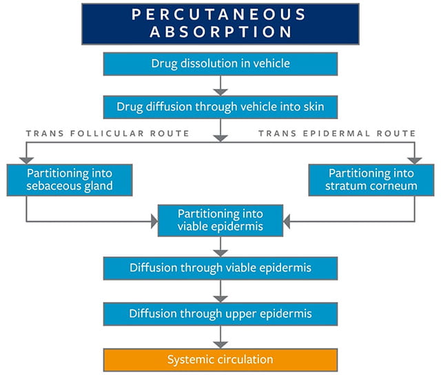 Dermal (percutaneous) absorption of active pharmaceutical ingredients (APIs) or chemicals from the outer surface of the skin to systemic circulation