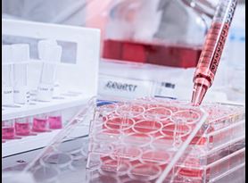 Comprehensive GLP virology efficacy testing to EPA, FDA, TGA & Health Canada requirements