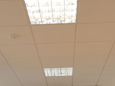 Suspended Ceiling