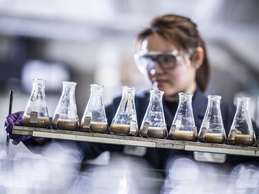 Marine Sediments Analysis