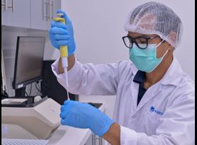 Real-Time Polymerase Chain Reaction RT PCR testing