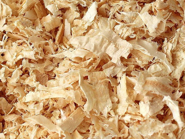 The Dangers of Wood Dust Exposure