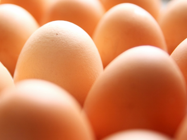 Food Production
