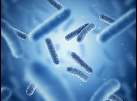 Microbiome testing and analysis services