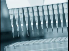 Premier Molecular Studies and Testing Services 