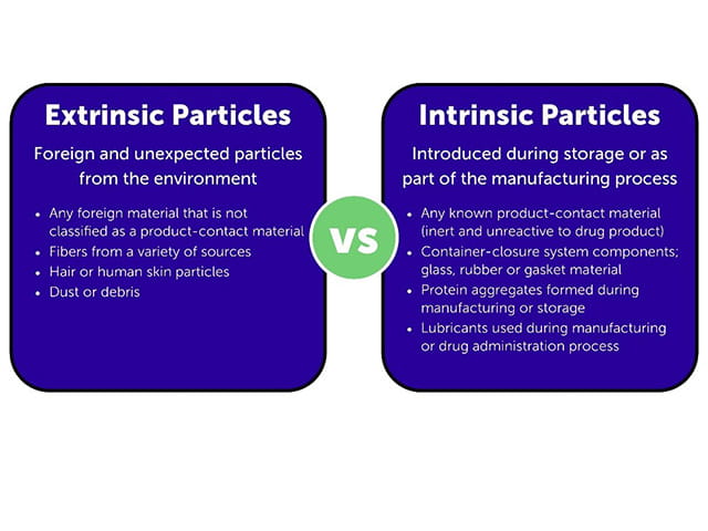 Extrinsic Particles vs Intrinsic Particles