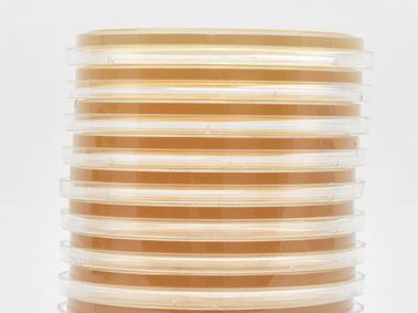 Compliance on Demand Glove Fingertip Testing