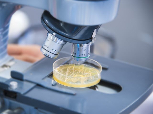 Pharmaceutical Testing scientific equipment