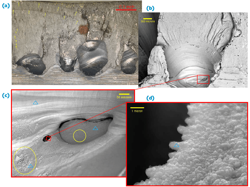 Visually obvious and large voids within the weld metal (a) resulted in multiple origin fatigue fracture [progression lines and the coalescence of multiple fatigue cracks are indicated with yellow arrows].