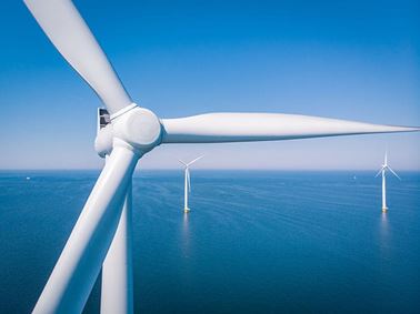 Testing, Inspection, Certification and Calibration services for sustainability